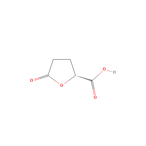 53558-93-3 (R)-(-)-5-OXOTETRAHYDROFURAN-2-CARBOXYLIC ACID chemical structure