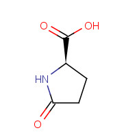 4042-36-8 D-Pyroglutamic acid chemical structure