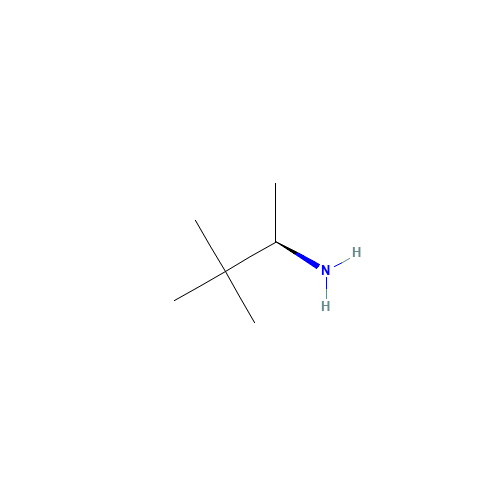 66228-31-7 (R)-3,3-DIMETHYL-2-AMINOBUTANE chemical structure