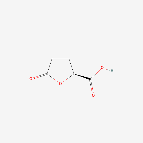 21461-84-7 (S)-(+)-5-OXOTETRAHYDROFURAN-2-CARBOXYLIC ACID chemical structure