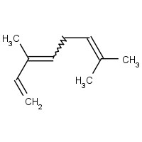 3338-55-4 OCIMENE  MIXTURE OF ISOMERS chemical structure