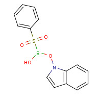 342404-46-0 1-(PHENYLSULFONYL)-2-INDOLEBORONIC ACID chemical structure