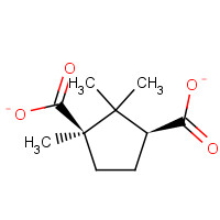 124-83-4 D-(+)-Camphoric acid chemical structure