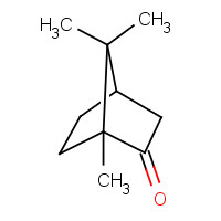 76-22-2 Camphor chemical structure