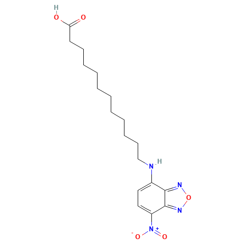 96801-39-7 12-(7-NITROBENZOFURAZAN-4-YLAMINO)DODECANOIC ACID chemical structure