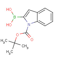213318-44-6 N-Boc-indole-2-boronic acid chemical structure