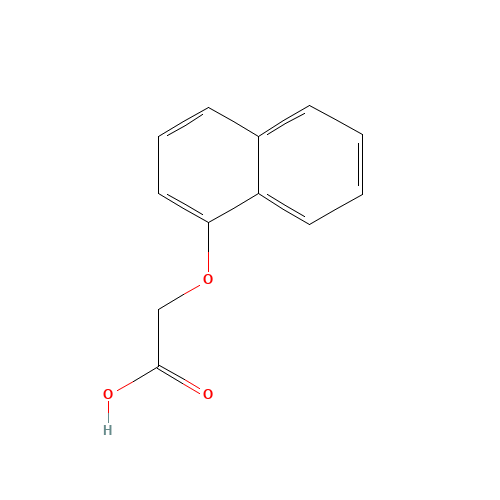 2976-75-2 1-NAPHTHOXYACETIC ACID chemical structure
