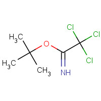 98946-18-0 tert-Butyl 2,2,2-trichloroacetimidate chemical structure