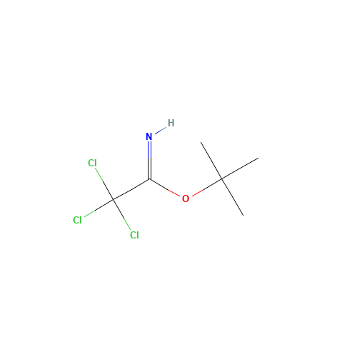 98946-18-0 tert-Butyl 2,2,2-trichloroacetimidate chemical structure