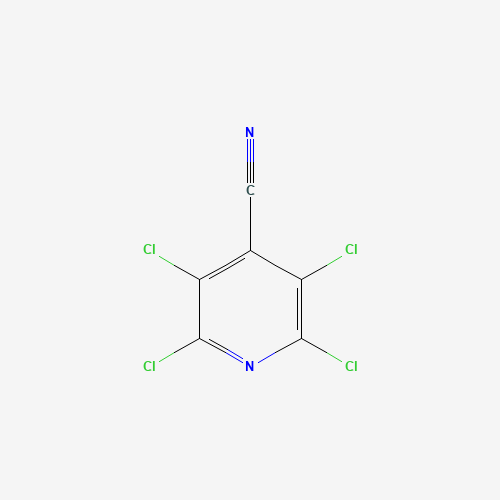 16297-06-6 2,3,5,6-TETRACHLOROISONICOTINONITRILE chemical structure