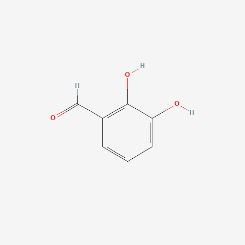 24677-78-9 2,3-Dihydroxybenzaldehyde chemical structure