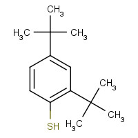 19728-43-9 2,4-DI-TERT-BUTYLTHIOPHENOL chemical structure