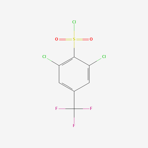 175205-76-2 2,6-DICHLORO-4-(TRIFLUOROMETHYL)BENZENESULFONYL CHLORIDE chemical structure
