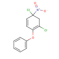 22544-07-6 2,4'-DICHLORO-4-NITRODIPHENYL ETHER chemical structure