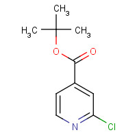295349-62-1 2-Chloropyridine-4-carboxylic acid tert-butyl ester chemical structure