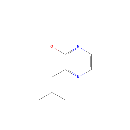 24683-00-9 2-Methoxy-3-isobutyl pyrazine chemical structure