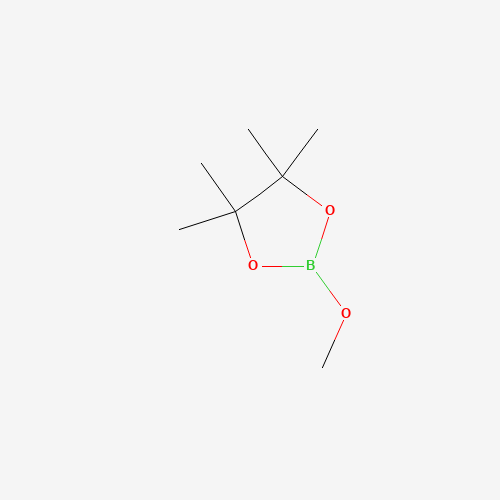 1195-66-0 2-Methoxy-4,4,5,5-tetramethyl-1,3,2-dioxaborolane chemical structure