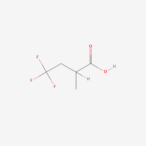 99783-23-0 2-METHYL-4,4,4-TRIFLUOROBUTYRIC ACID chemical structure