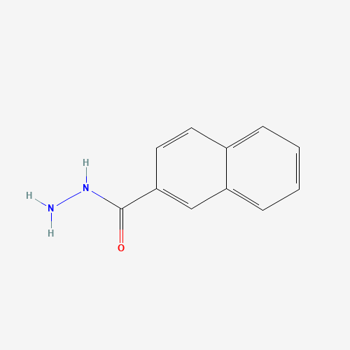 39627-84-4 2-NAPHTHHYDRAZIDE chemical structure