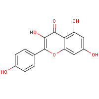 520-18-3 Kaempferol chemical structure