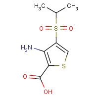 175201-89-5 3-AMINO-4-(ISOPROPYLSULFONYL)THIOPHENE-2-CARBOXYLIC ACID chemical structure