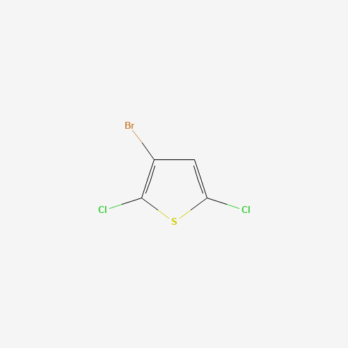60404-18-4 3-BROMO-2,5-DICHLOROTHIOPHENE chemical structure