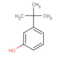 585-34-2 3-tert-Butylphenol chemical structure
