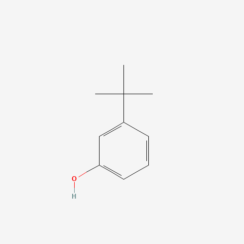 585-34-2 3-tert-Butylphenol chemical structure