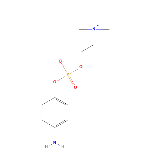 102185-28-4 4-AMINOPHENYLPHOSPHORYLCHOLINE chemical structure