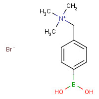 373384-20-4 4-(TRIMETHYLAMMONIUM)METHYLPHENYLBORONIC ACID BROMIDE SALT chemical structure
