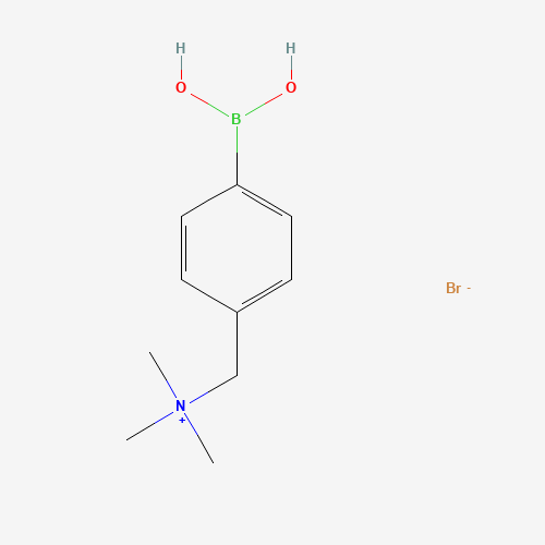 373384-20-4 4-(TRIMETHYLAMMONIUM)METHYLPHENYLBORONIC ACID BROMIDE SALT chemical structure