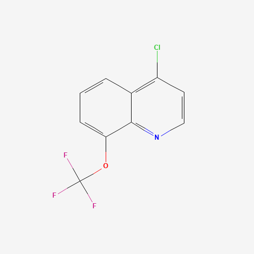 40516-42-5 4-CHLORO-8-TRIFLUOROMETHOXYQUINOLINE chemical structure