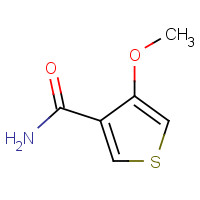 65369-29-1 4-METHOXYTHIOPHENE-3-CARBOXAMIDE chemical structure