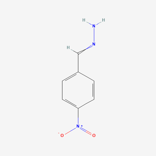 6310-10-7 4-NITROBENZALDEHYDE HYDRAZONE,98 chemical structure