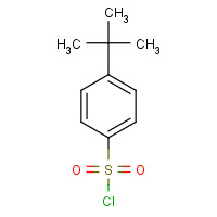 15084-51-2 4-tert-Butylbenzenesulfonyl chloride chemical structure