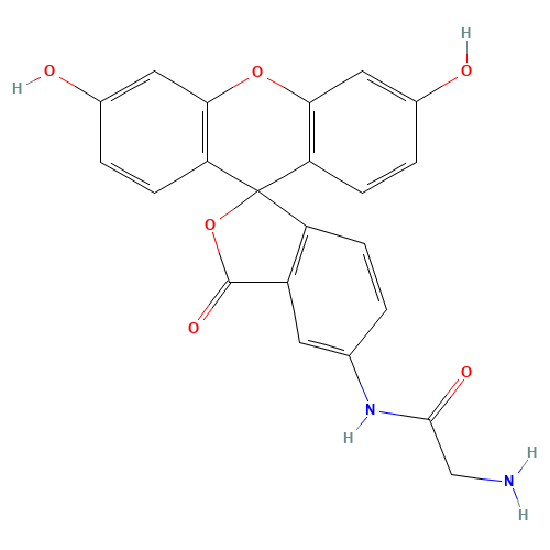 136091-82-2 5-(Aminoacetamido)fluorescein(fluoresceinylglycineamide) chemical structure