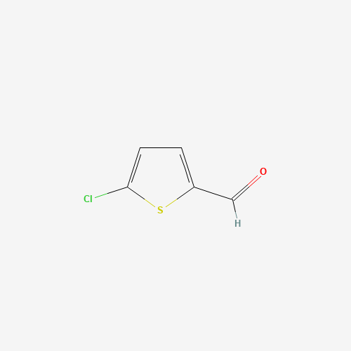 7283-96-7 2-Chloro-5-thiophenecarboxaldehyde chemical structure