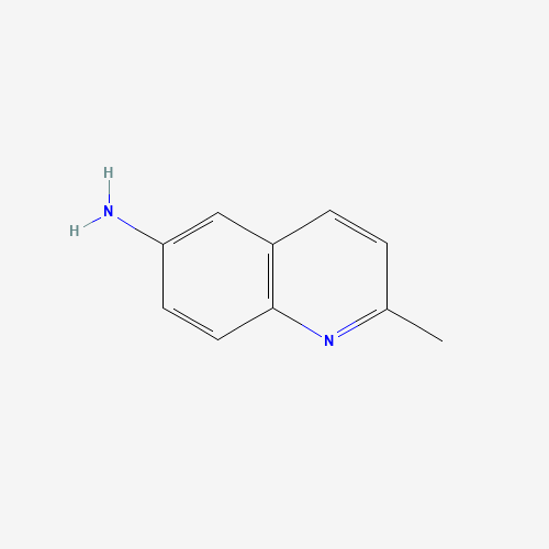 65079-19-8 6-AMINO-2-METHYLQUINOLINE chemical structure