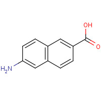 116668-47-4 6-AMINO-2-NAPHTHOIC ACID chemical structure