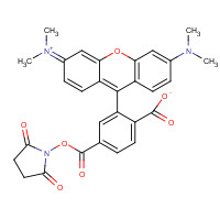 150810-69-8 6-Carboxytetramethylrhodamine succinimidyl ester chemical structure