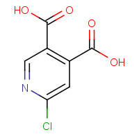 243835-70-3 6-CHLOROPYRIDINE-3,4-DICARBOXYLIC ACID chemical structure