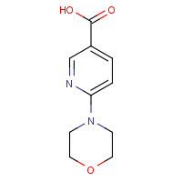 120800-52-4 6-MORPHOLINONICOTINIC ACID chemical structure