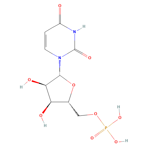 58-97-9 Uridine-5'-monophosphate chemical structure