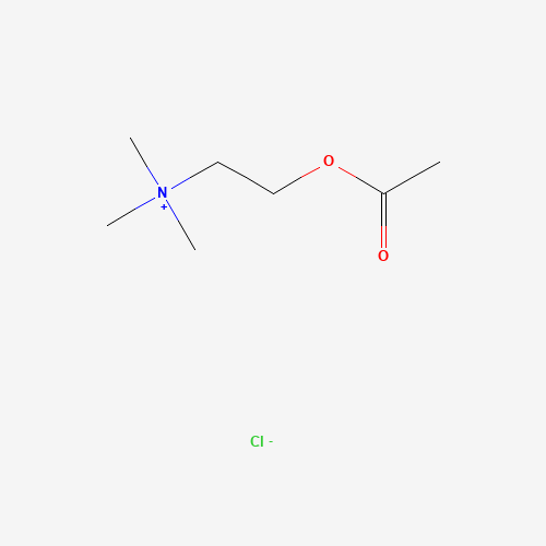 60-31-1 Acetylcholine chloride chemical structure