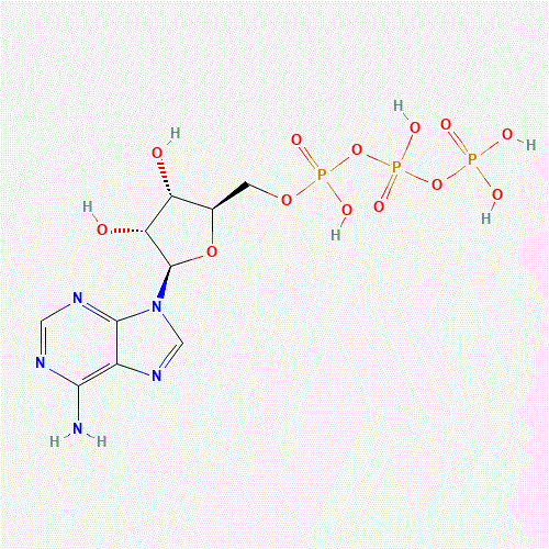 56-65-5 Adenosine triphosphate chemical structure