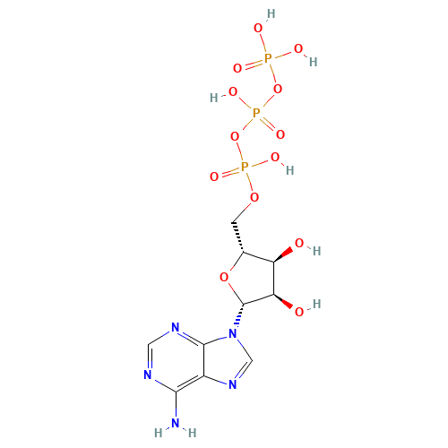 56-65-5 Adenosine triphosphate chemical structure