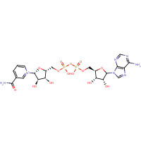 53-84-9 beta-Diphosphopyridine nucleotide chemical structure