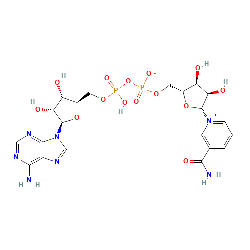 53-84-9 beta-Diphosphopyridine nucleotide chemical structure