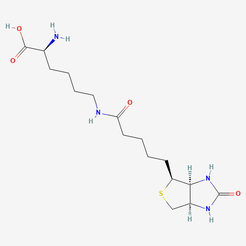 576-19-2 Biocytin chemical structure