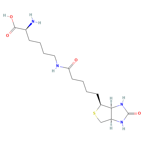 576-19-2 Biocytin chemical structure